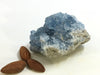Load image into Gallery viewer, Celestite: Cluster Small