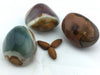 Jasper Polychrome: Palm Stones (L)