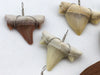 Load image into Gallery viewer, Shark Teeth (Fossilized): Wired Wrapped Pendant