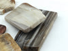 Load image into Gallery viewer, Petrified Wood: Polished