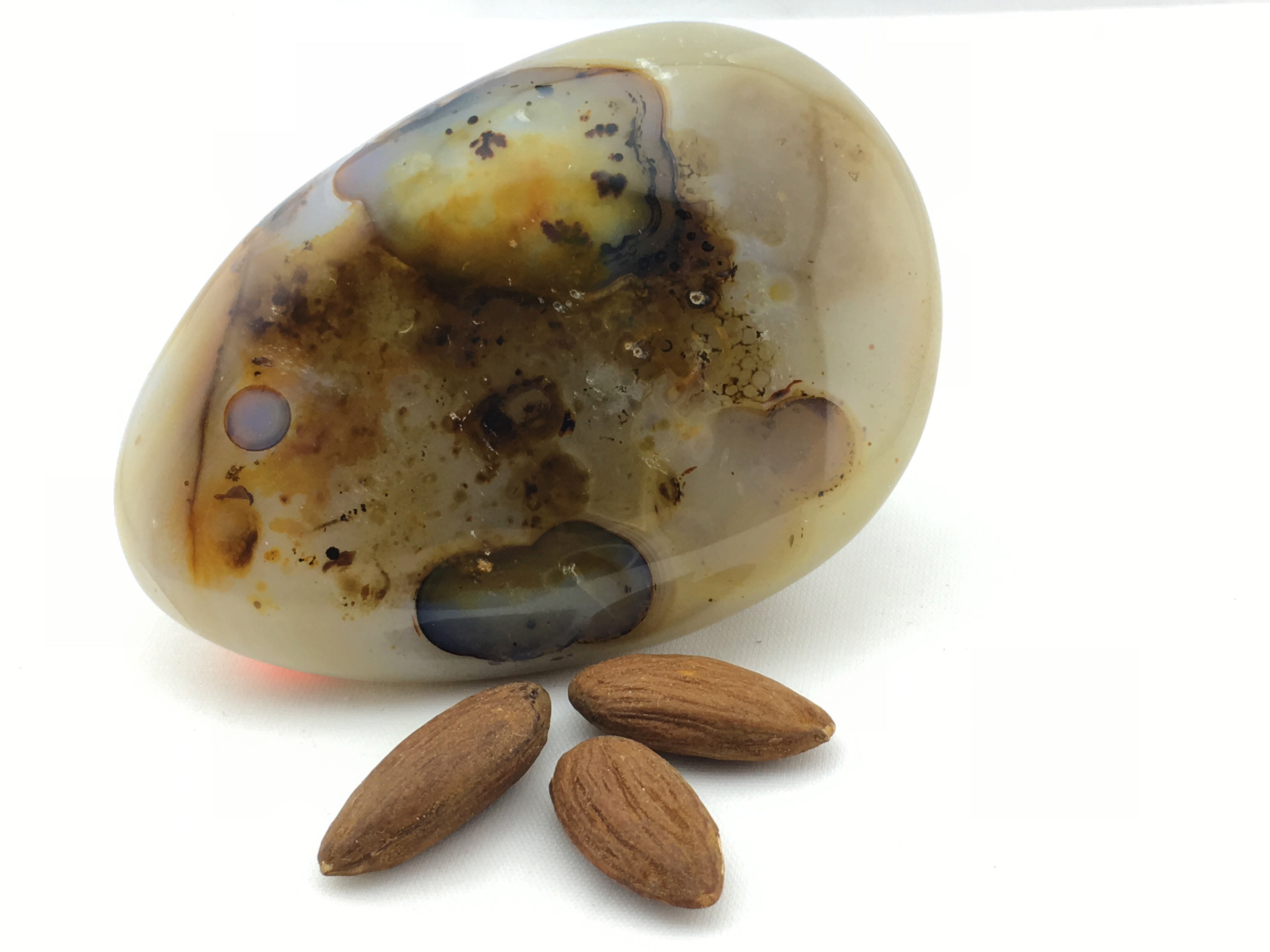 Opal Dendritic: Palm
