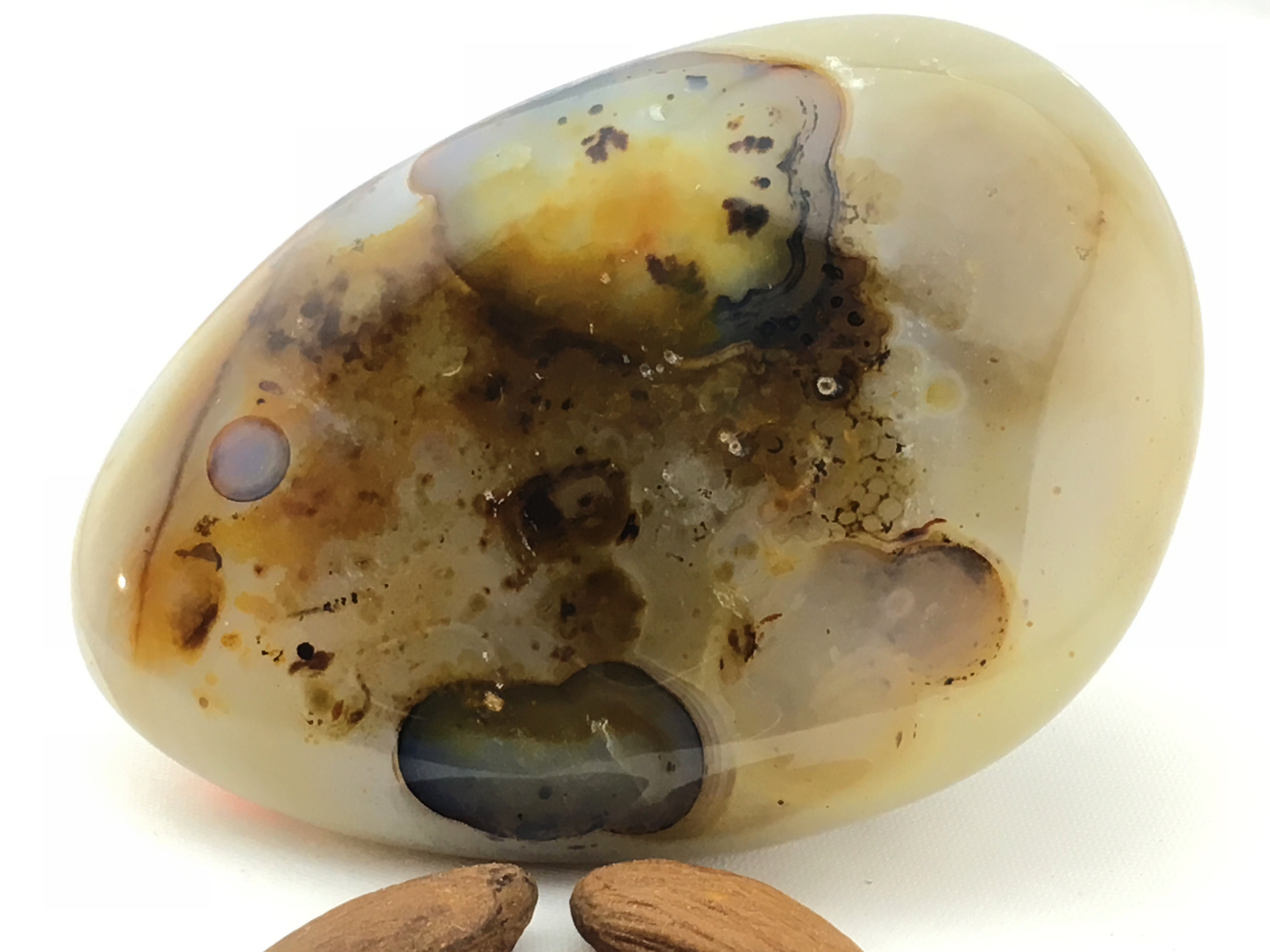 Opal Dendritic: Palm